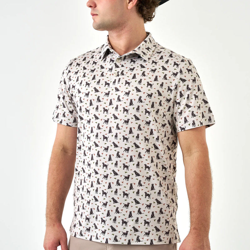 Burlebo Polo Ducks Dog