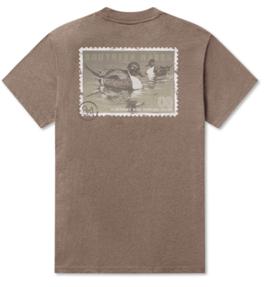 Duckstamp Pintail