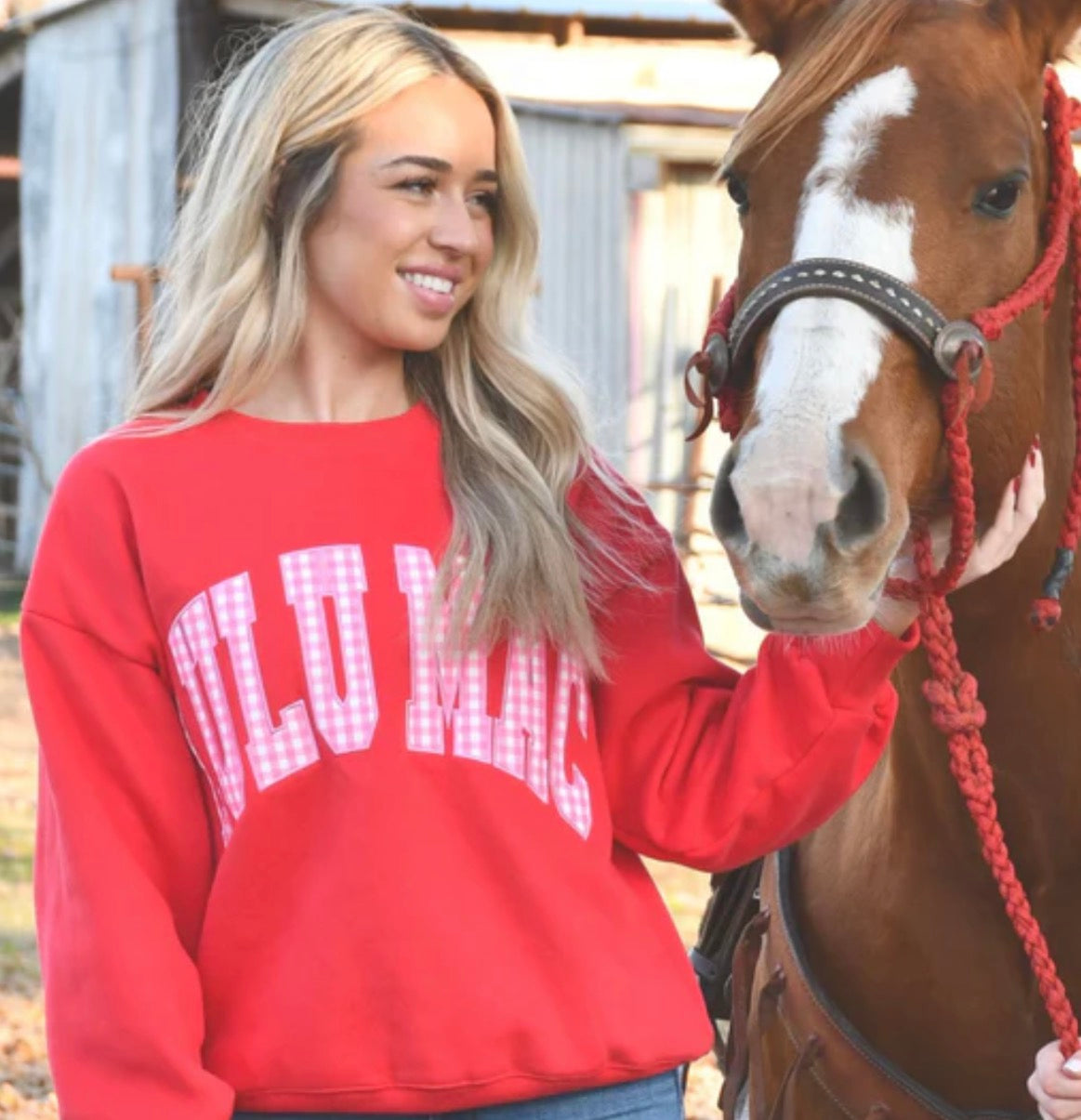 LuLu Mac Pink Gingham