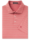 Newcastle Stripe Polo